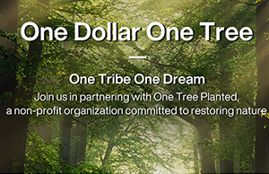 ���ǣ���ע���α��������е�̼����