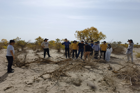 yl23455����(�й�)�ɷ����޹�˾