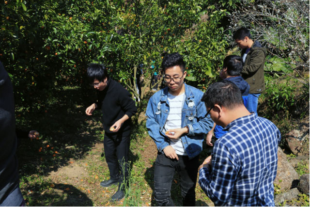 yl23455����(�й�)�ɷ����޹�˾